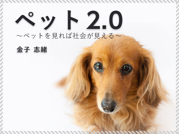 狂犬病予防注射 を人ではなく 犬に接種するのはなぜ 日本に潜伏する狂犬病流行の危険性 ペット2 0 ペットを見れば社会が見える よみタイ