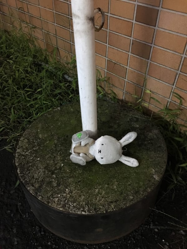 都内で発見したうさぎのぬいぐるみの落とし物。(写真/ダーシマ)