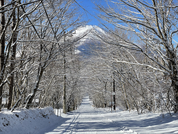 降ったら降ったで大変だけど、やっぱり待ち遠しい雪景色