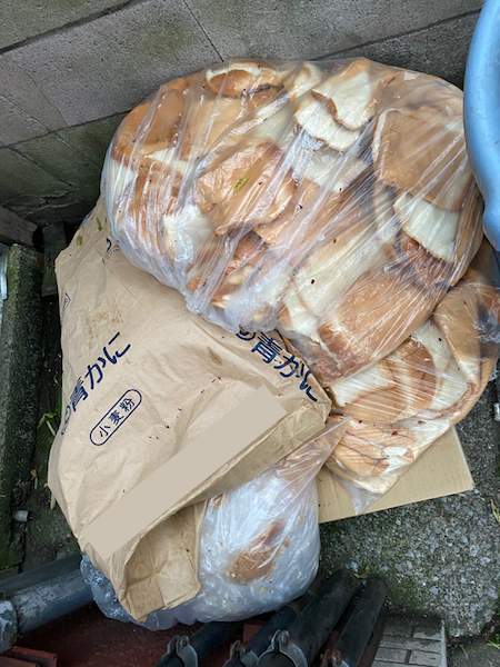 パン屋さんの前に捨てられていたパン（筆者撮影）