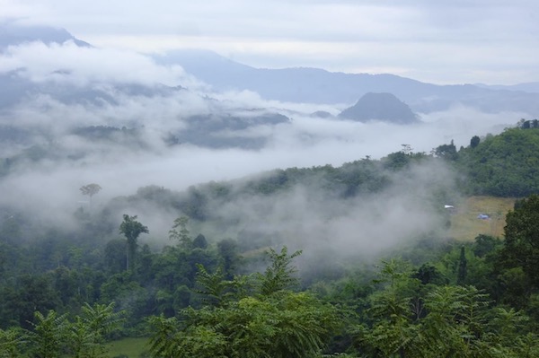 かつて麻薬の産地だったタイ北部の山岳地帯（画像提供／ナンコーヒー・ジャパン）