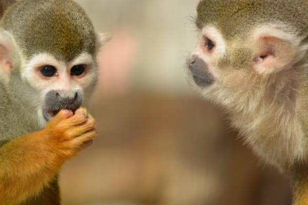 その愚痴や自慢話、機密情報含まれていませんか?