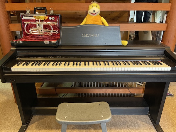 旧式の電子ピアノはハードオフにて9900円で購入。お買い得だった