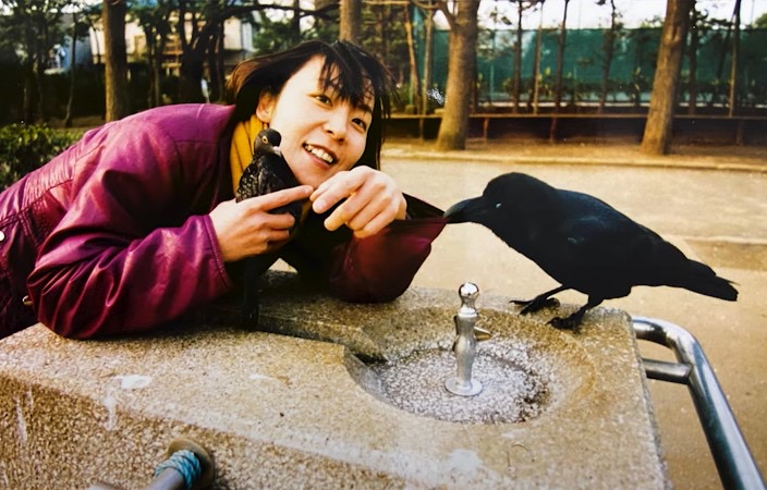 鳩のポーちゃんと公園で遊んでる時に、カラスに誘惑される麻知子さん