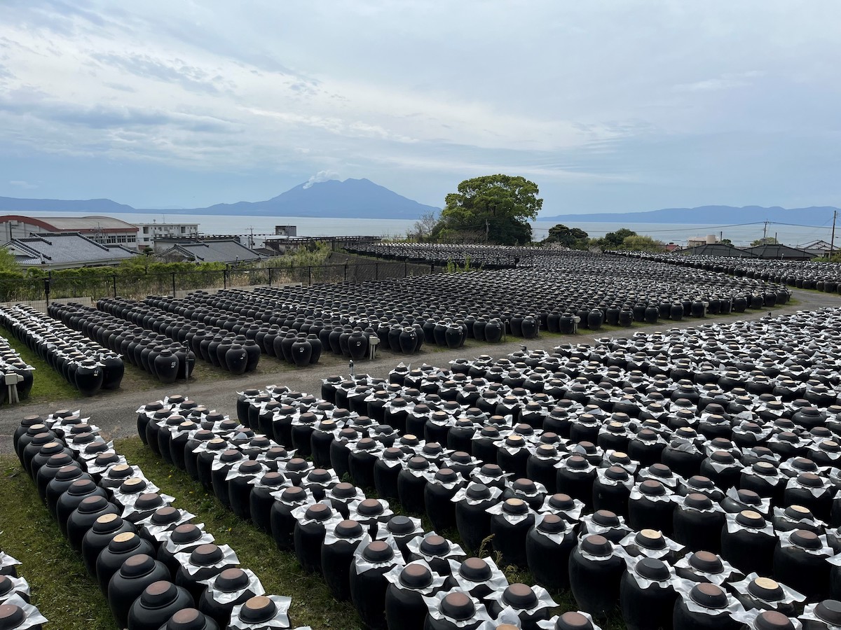 坂元のくろず「壺畑」 情報館＆レストランは、藤原さんのお気に入りの場所のひとつ。桜島を背景に黒酢の壺が広がる。
