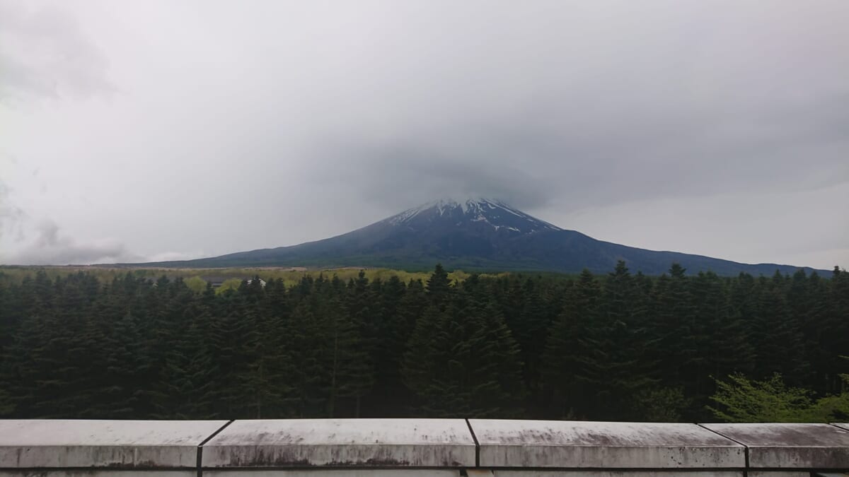 展示室内写真は「個人使用に限り撮影可」のため、今回はミュージアム周辺の写真をお届け。まずは富士山。「この日はあいにくの曇り。でも姿を見せてくれて嬉しかったです」
