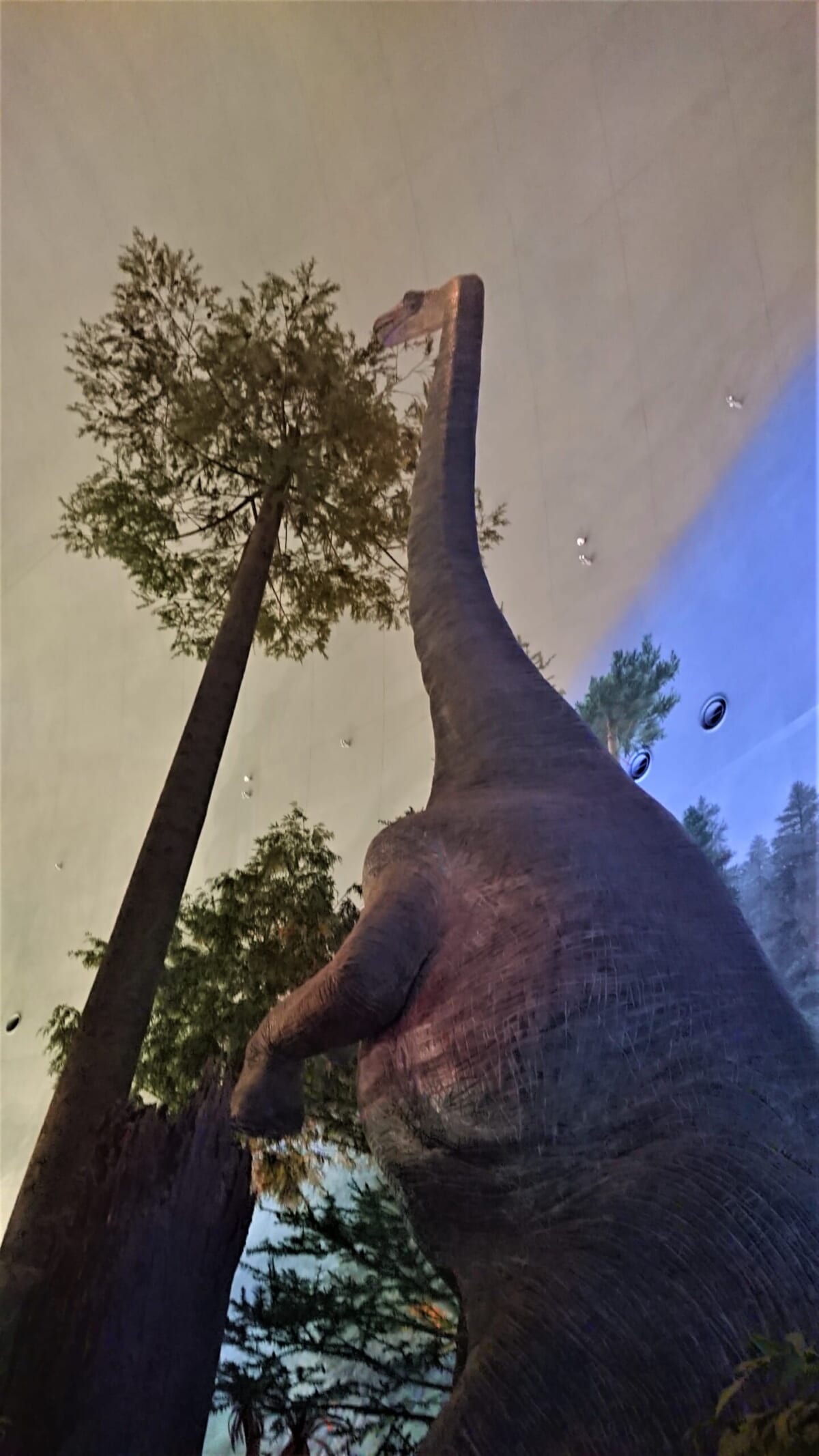 とにかく大きい恐竜たち。「 見上げるのがとても楽しかった。大きいって素晴らしいなあ」。 