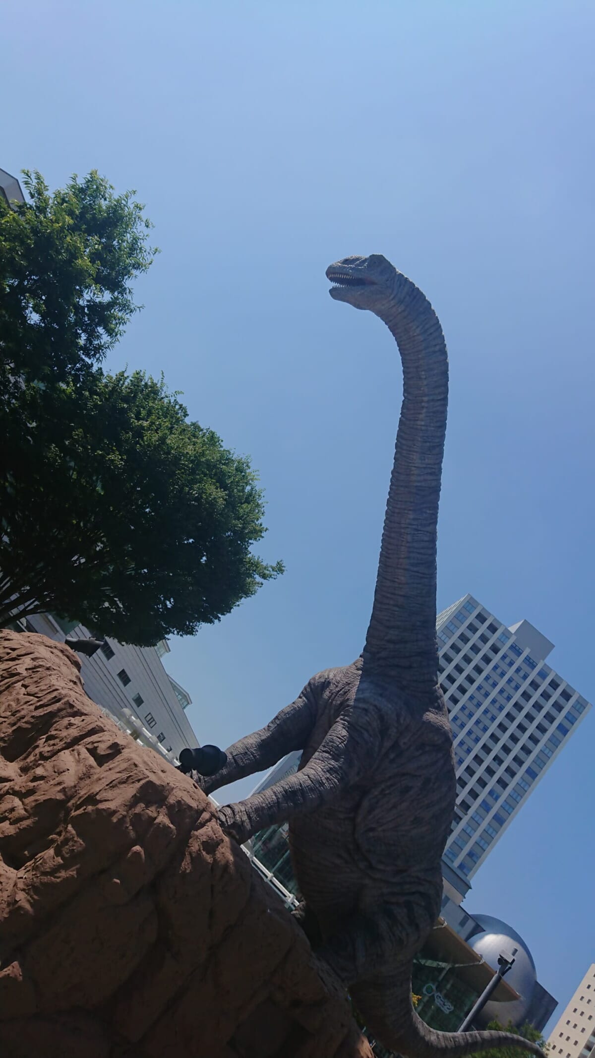 福井駅前恐竜広場にて。「フクイティタン・ニッポネンシスにお迎えされて、一気にテンションが上がった。最高でした！」
