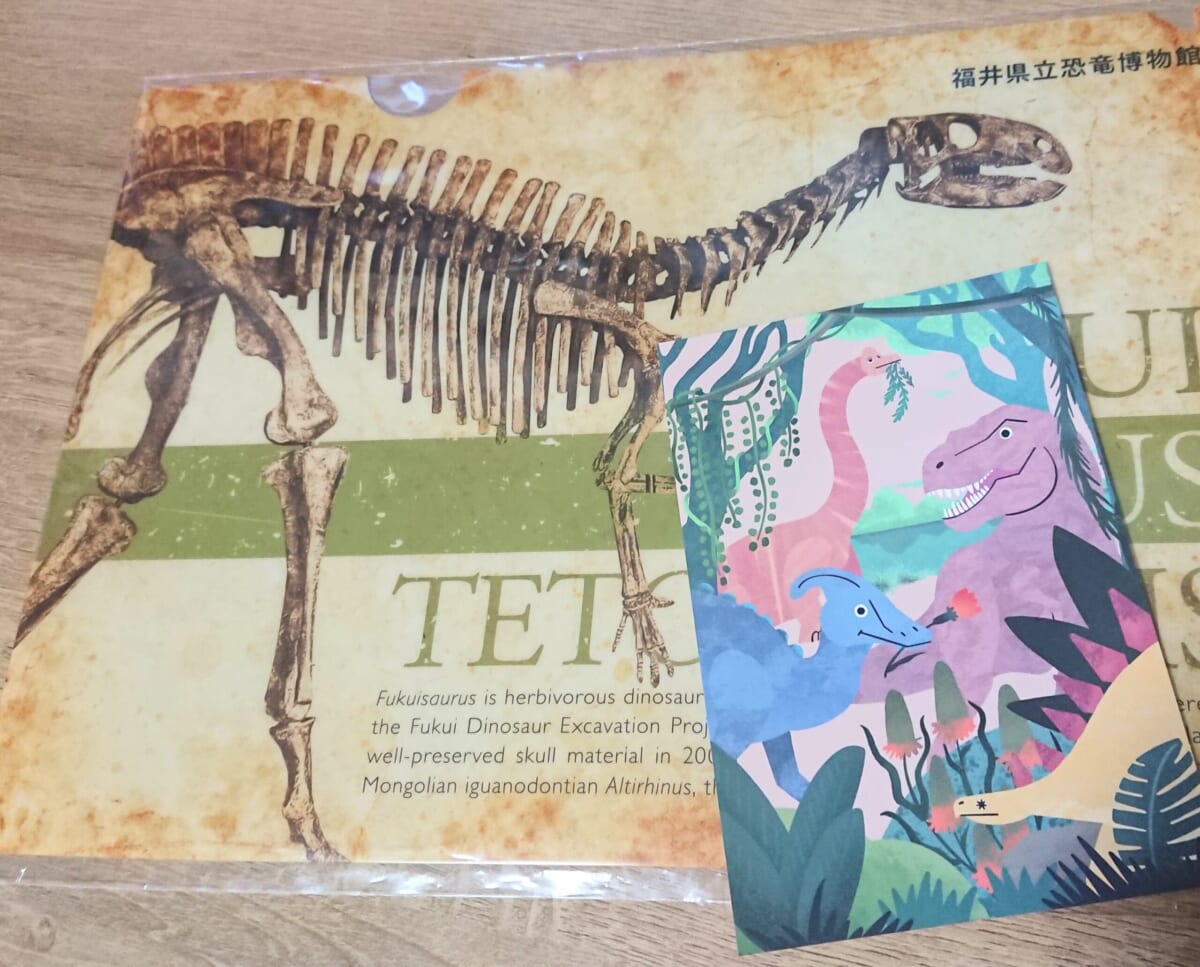 フクイサウルスのオリジナルファイルとポストカードをセットに！