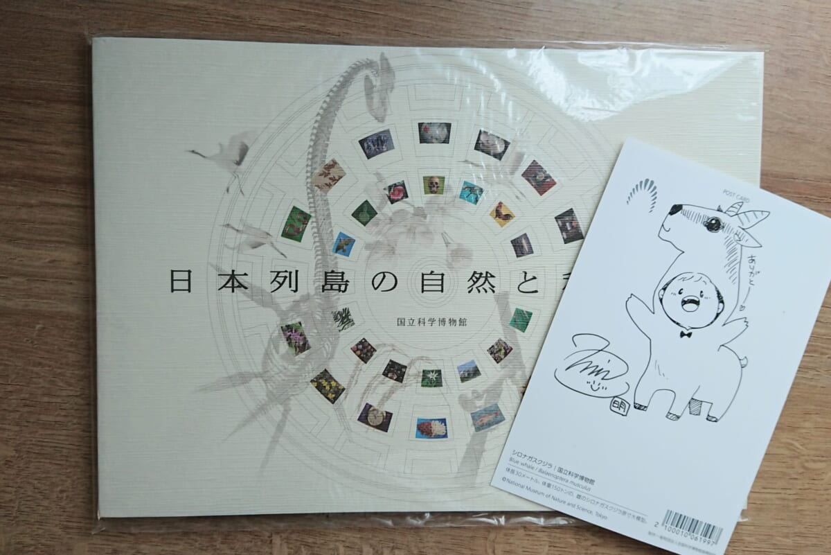 もちろん今回もポストカードの裏には明さんの直筆イラスト＆サイン！