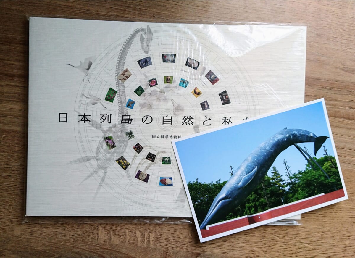 日本館コンセプトブックとポストカードをセットに！
