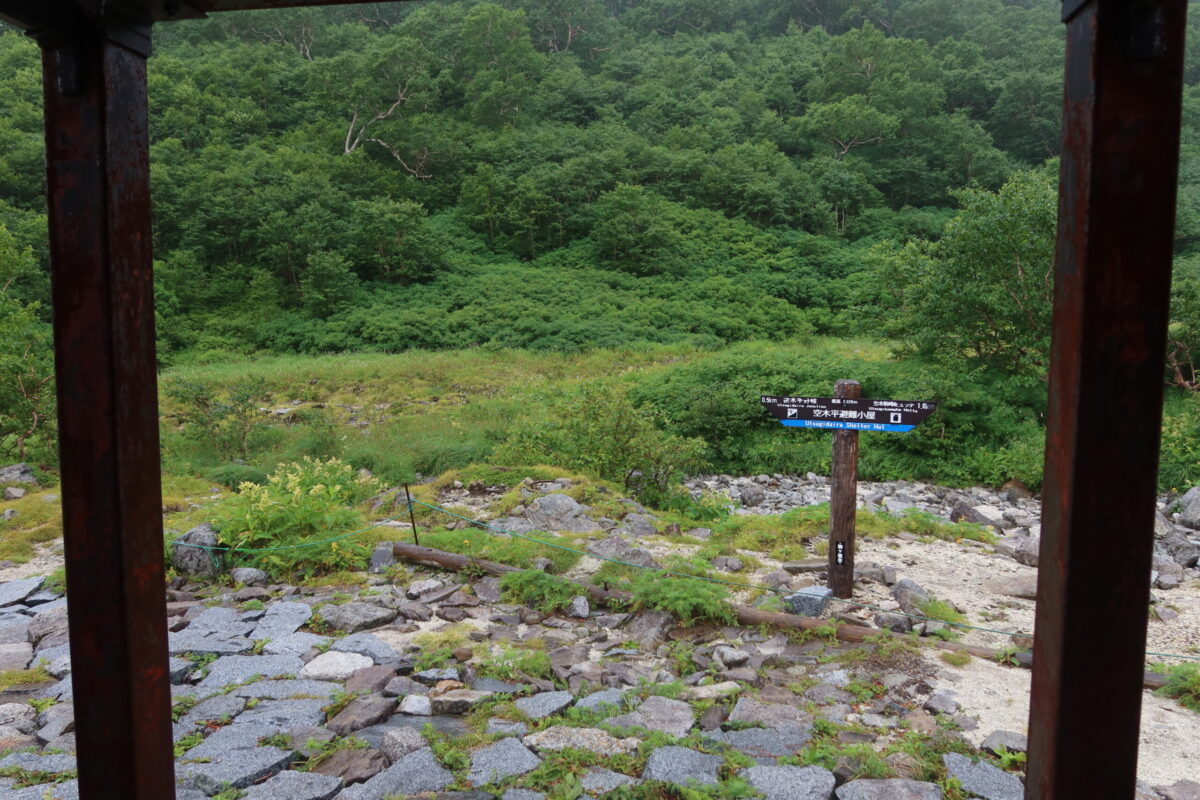 小屋の入り口から眺めた小屋前の風景。ナナカマドなどの木が繁茂している