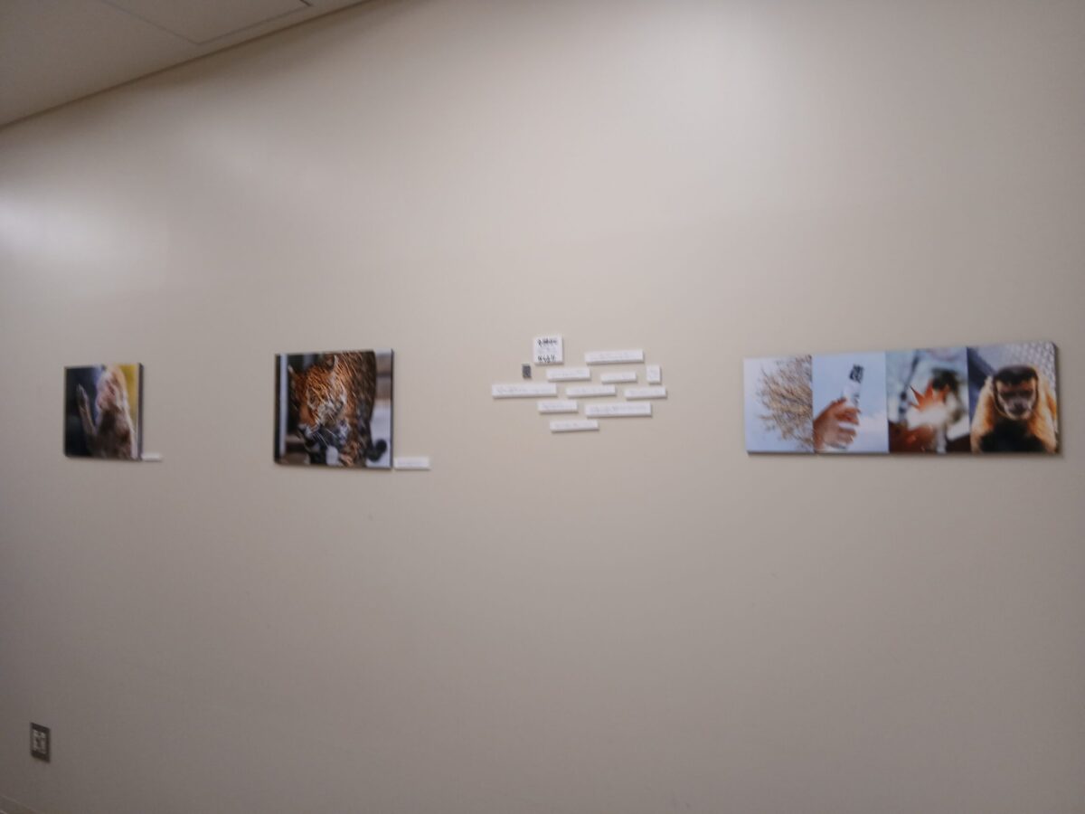 Koto photo「いのちの詩」撮影／筆者