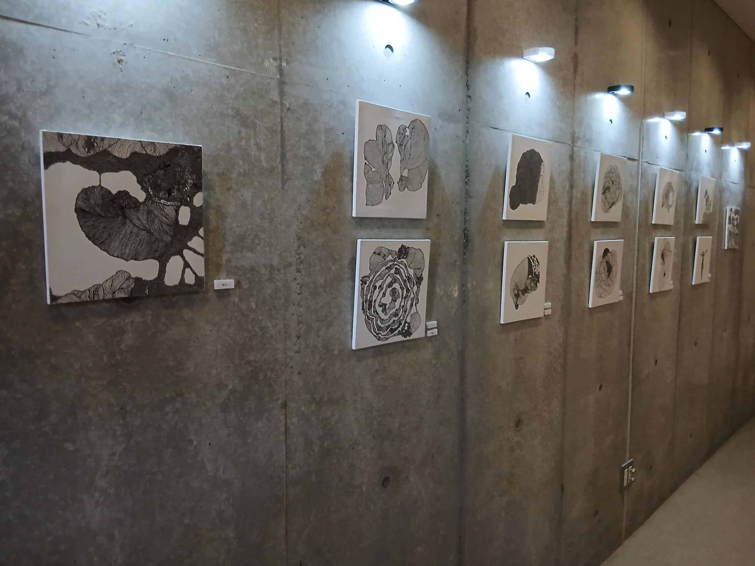 369「gift」　撮影／筆者