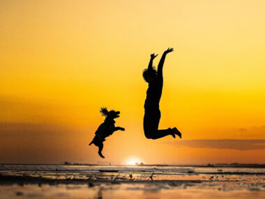 コーダに会いたくて毎日シクシク…。人と犬が一緒に学ぶってなんだろう【サーフィン犬 コーダが教えてくれたこと 第3回】