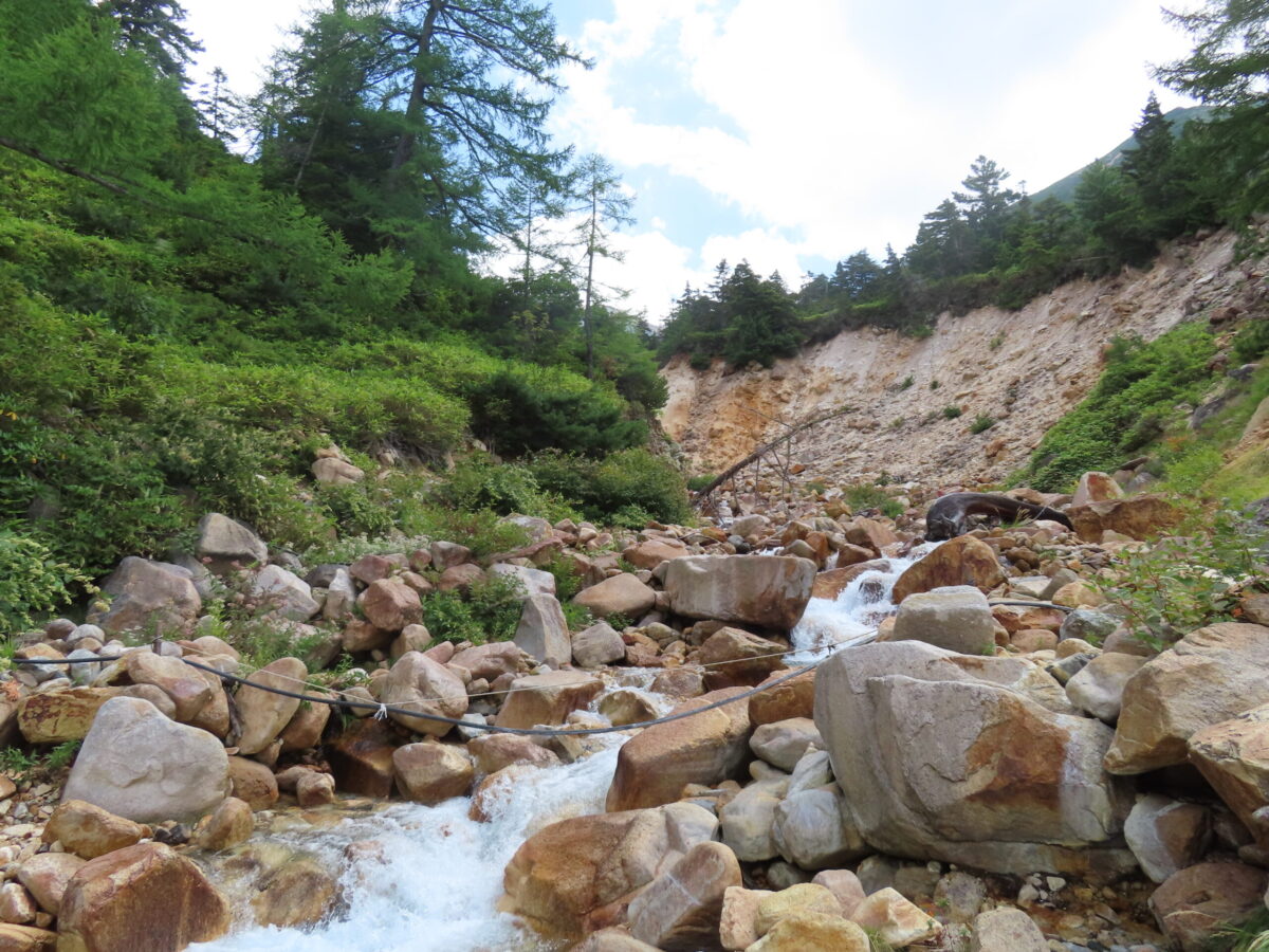 両岸に露天風呂がある温泉沢。沢を渡るようにつけられた黒い線状のものは、湯温を調整するために冷たい沢水を導水するためのホースだ