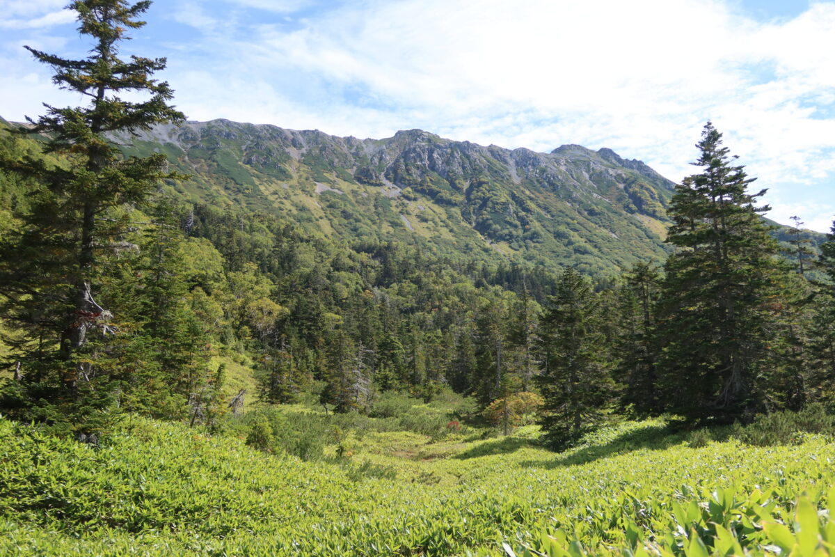 高天原からの帰り道。西側には水晶岳がそびえたつ