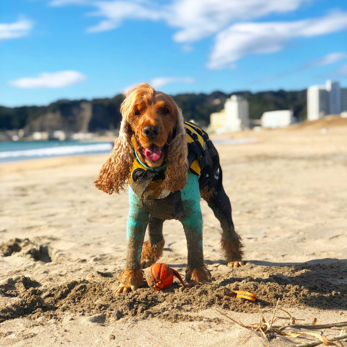 接し方や言葉使いを変えたら、コーダも自分も笑顔が増えていった