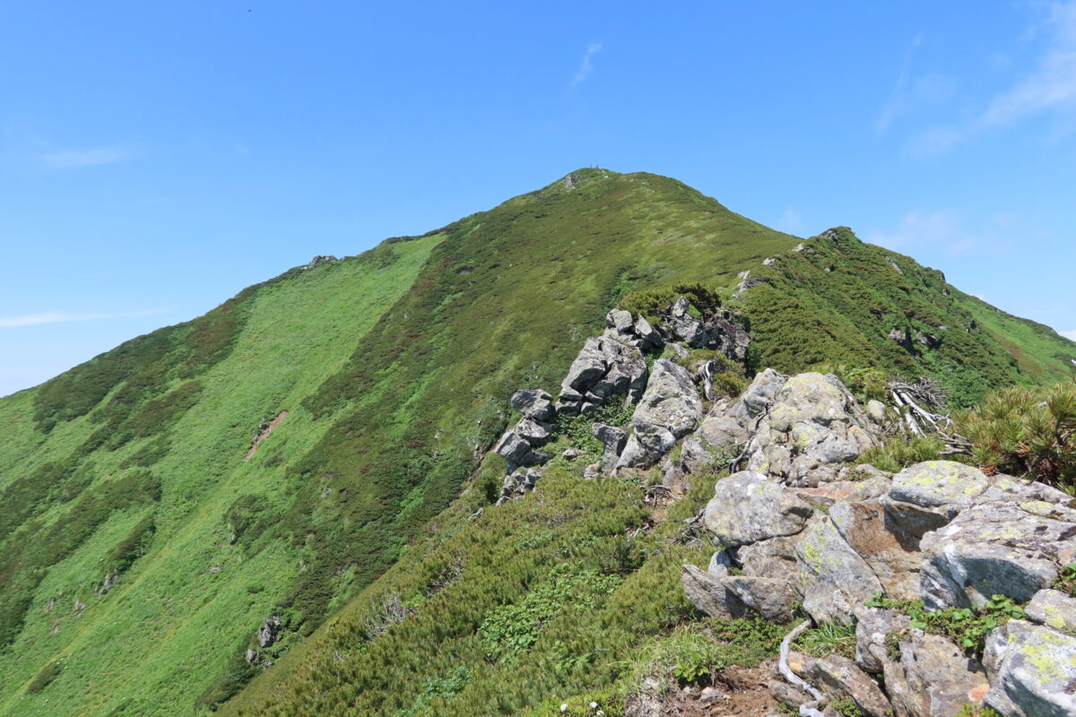 八ノ沢カールからさらに登った稜線から見上げるカムエク。犠牲者はヒグマの襲撃を避けるべく、この山の山頂を踏むことすら諦め、必死で逃げまわった