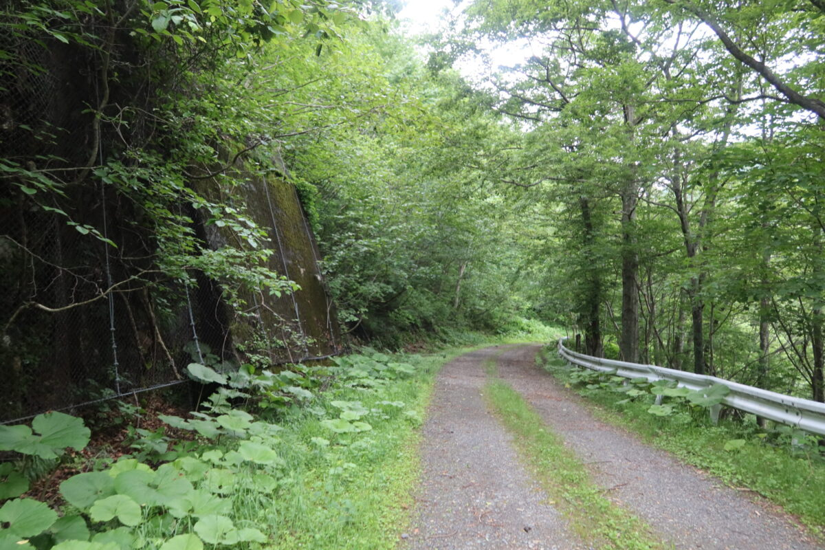 一般的な登山口は山脈の東側に当たる<ruby>中札内<rt>なかさつない</rt></ruby>村。中途で建設を断念した日高山脈を横断する道路の名残で、かなり奥まで林道を利用できる