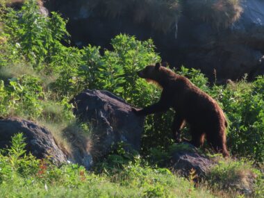 ひとり、またひとり…ヒグマ襲撃の現場に眠る慰霊のプレート。北海道カムイエクウチカウシ山「八ノ沢カール」【山の名&珍プレイス 第3回後編】