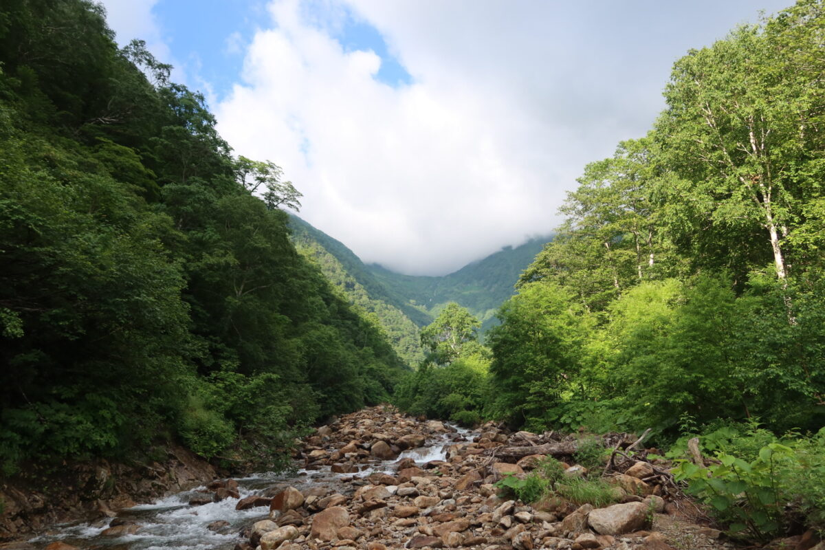 八ノ沢の上流方向を見上げた様子。八ノ沢カールがある高地は、白雲で覆われている