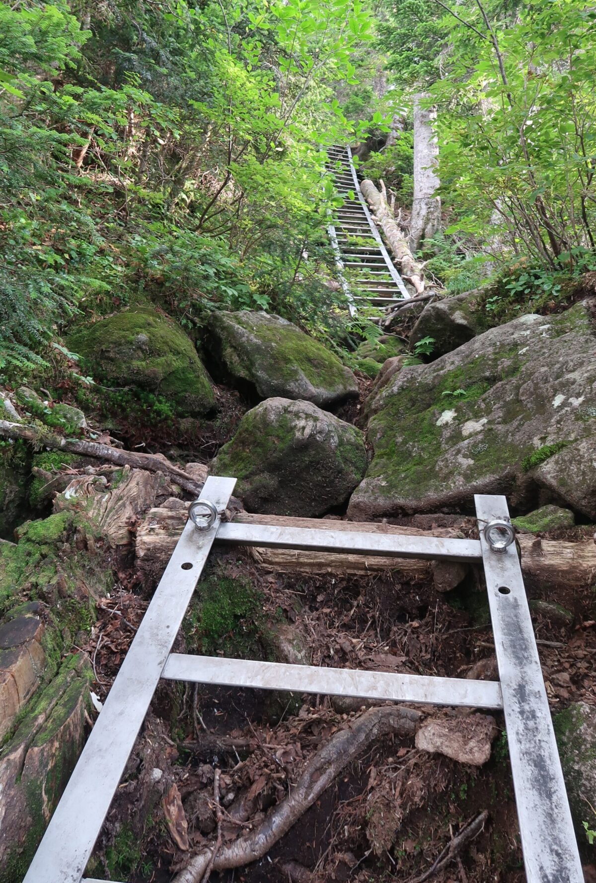 雲ノ平から往復する場合、高天原温泉との標高差はほぼ500m。途中には長大なハシゴを使って上り下りする難路も控える