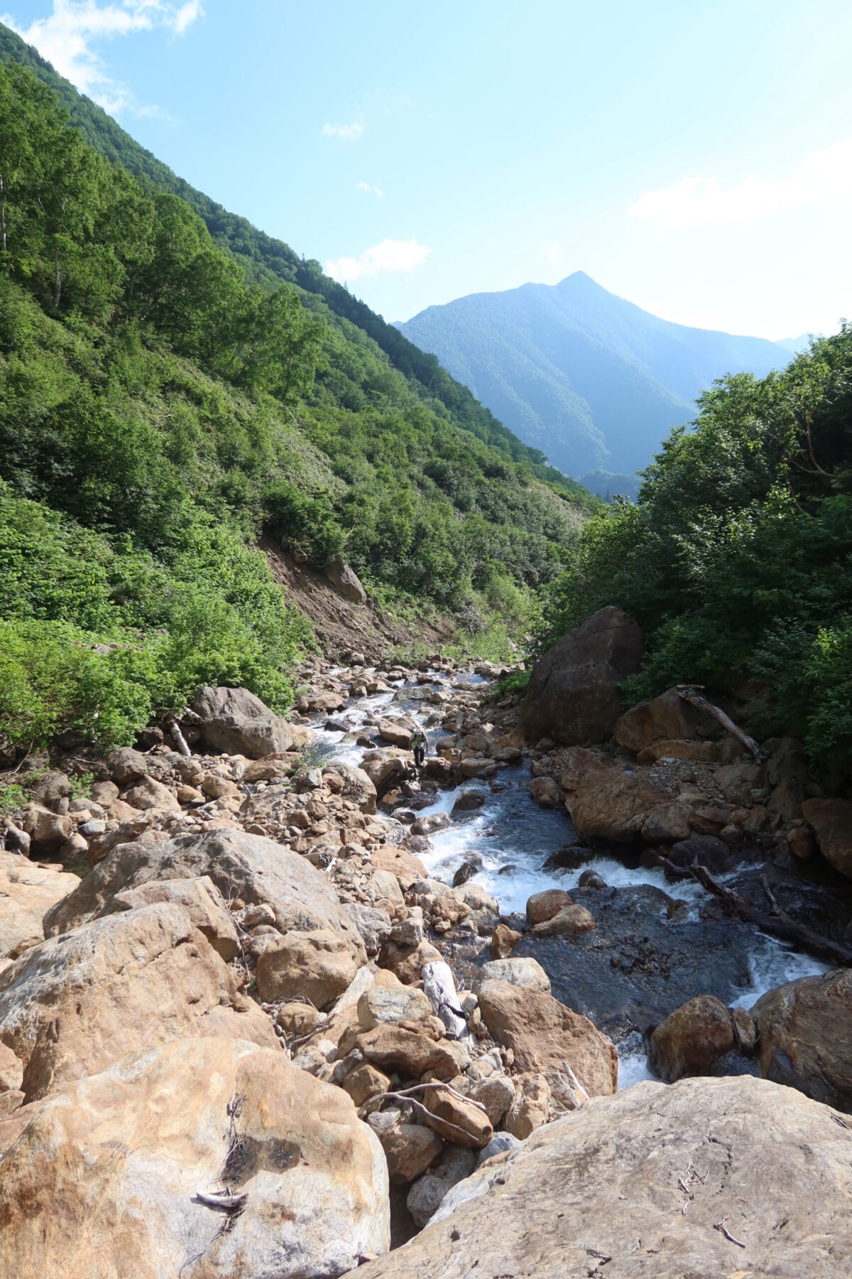 急激に流れ落ちる八ノ沢。この流れと岩の上も登山ルートだ
