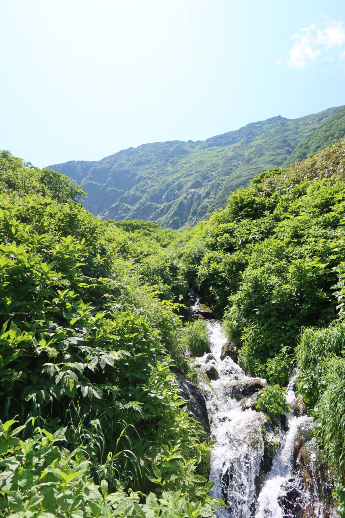 八ノ沢カールから滝のように流れ出す清流。カムエク山頂へ至る稜線が上方に見え、その手前が八ノ沢カールである
