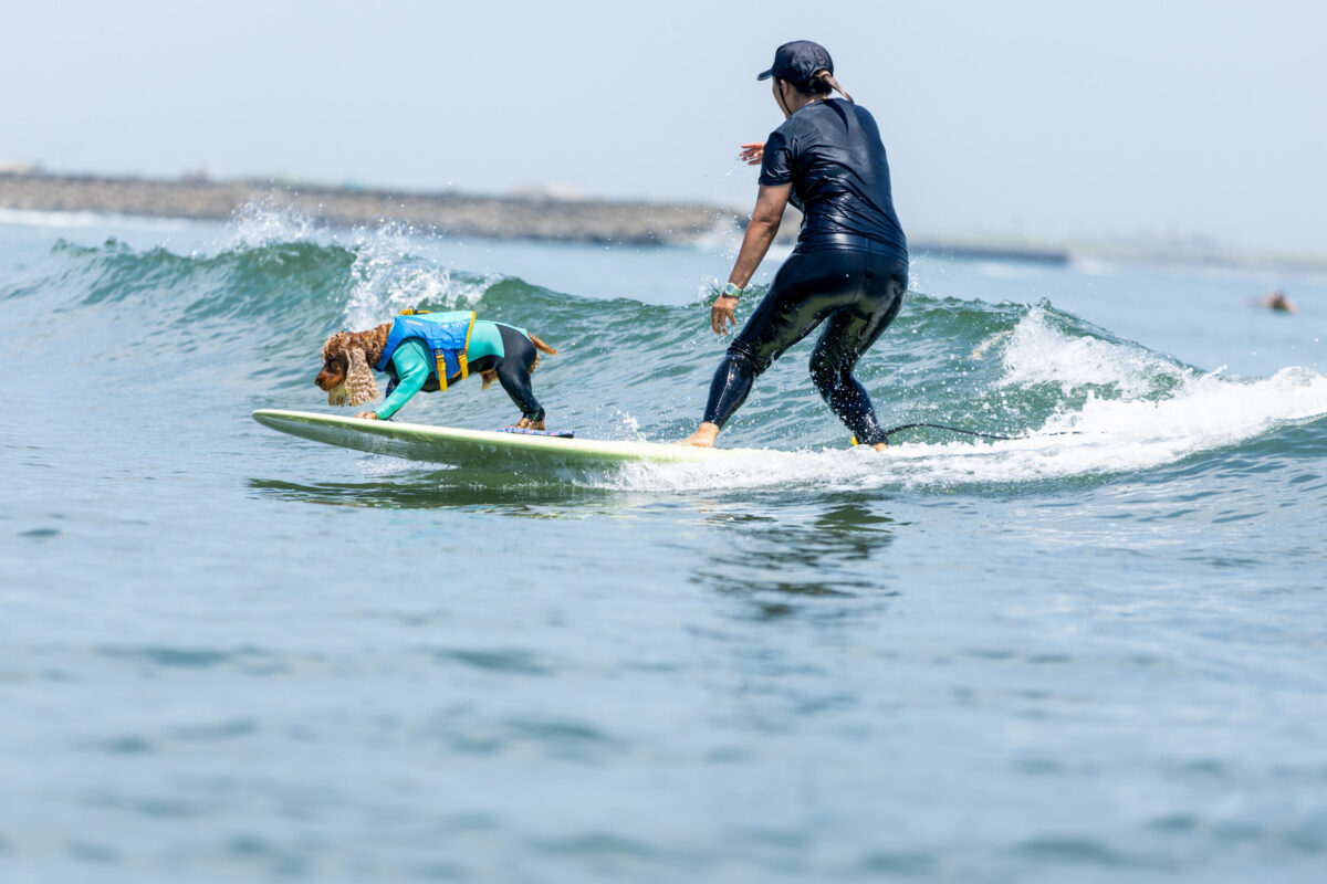 憧れのタンデムサーフィン。私とコーダにとって最高の瞬間。