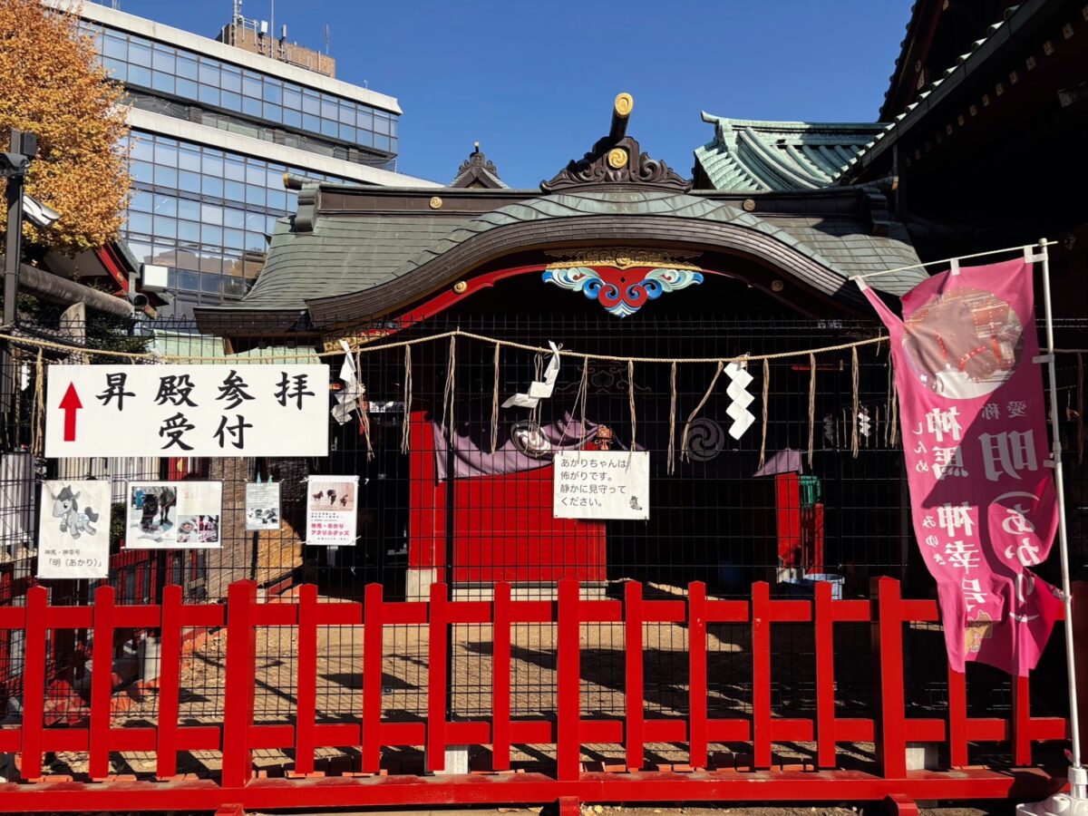 7月~9月以外は境内のこちらで暮らしているあかりさん