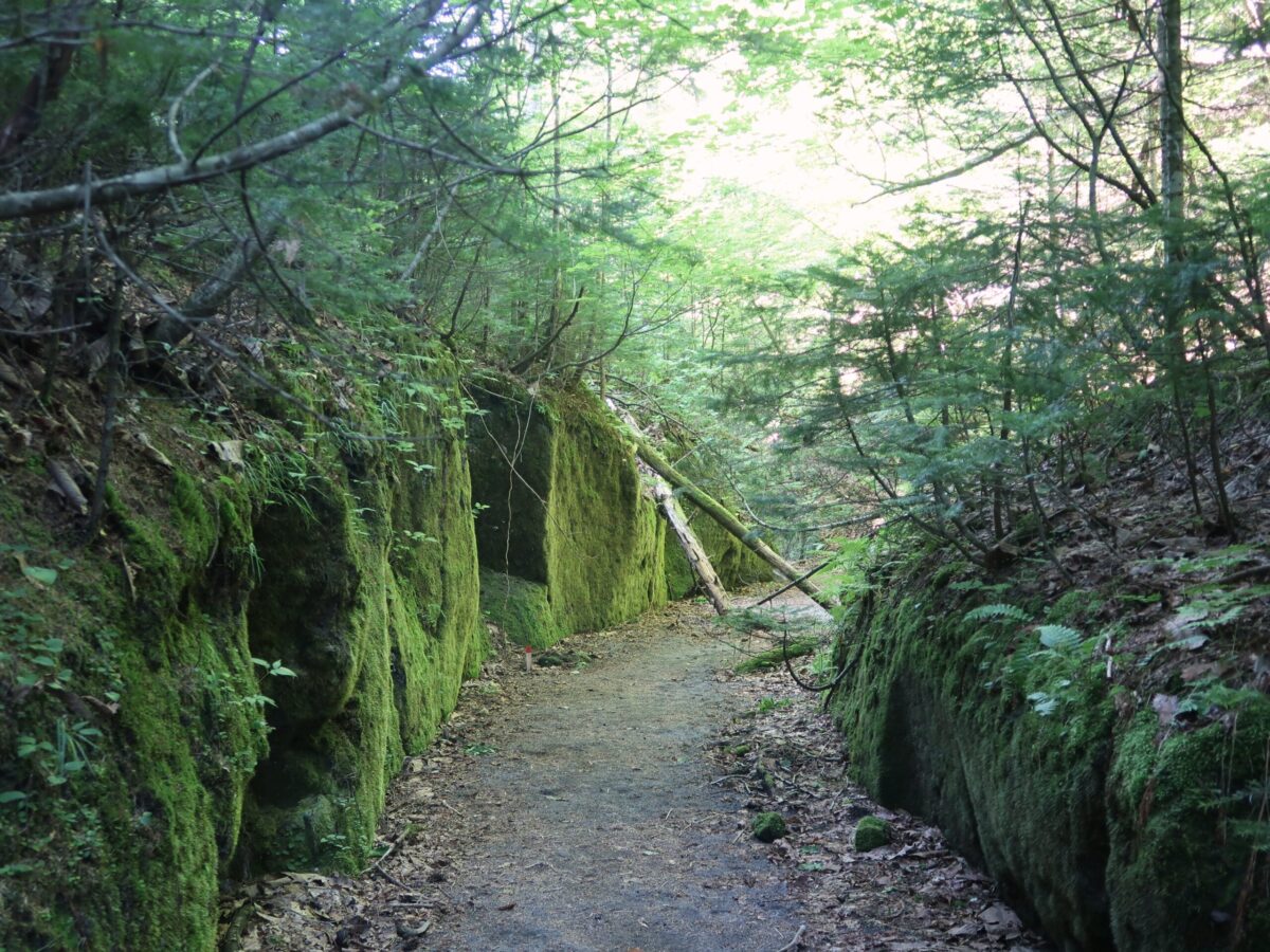両側の壁がまだ低い代わりに、中央部分は広い。自転車なら余裕で走れる幅だ