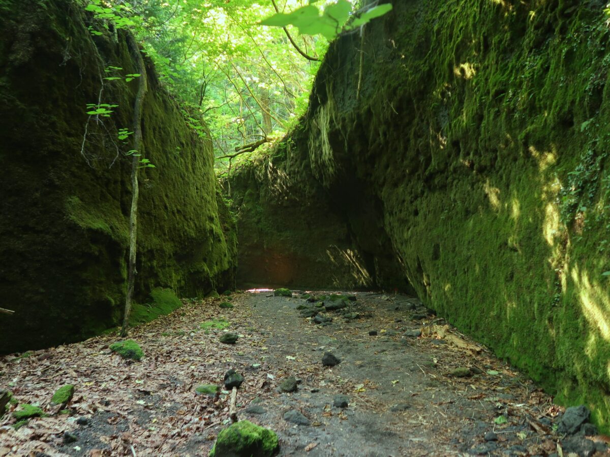 両側の壁の高さも、中央部の横幅も、2m弱。「U」の字というよりは、「コ」の字を90度回転させて立てたような地形である