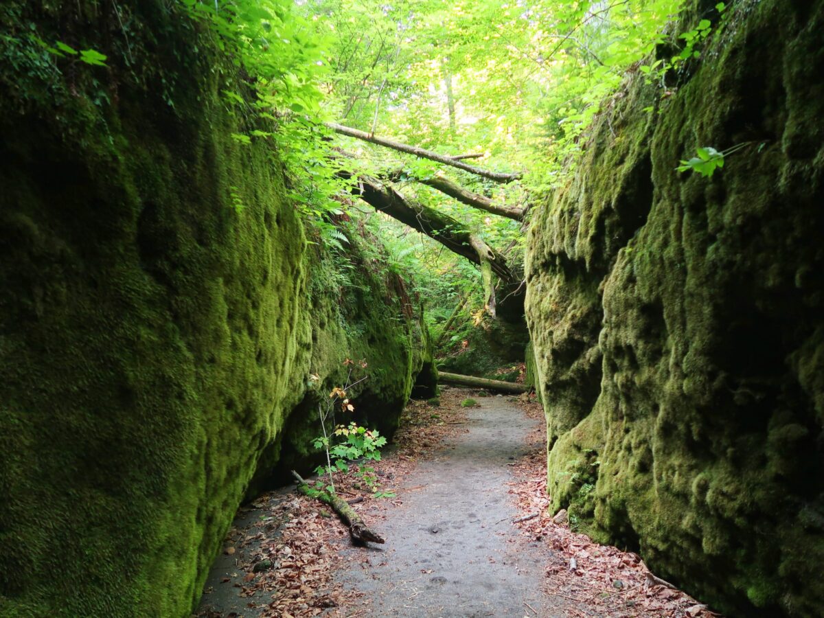 中央が狭まり、両サイドが切り立っている。基本的には沢沿いの1本のルートなのに、迷路を歩いている気分だ