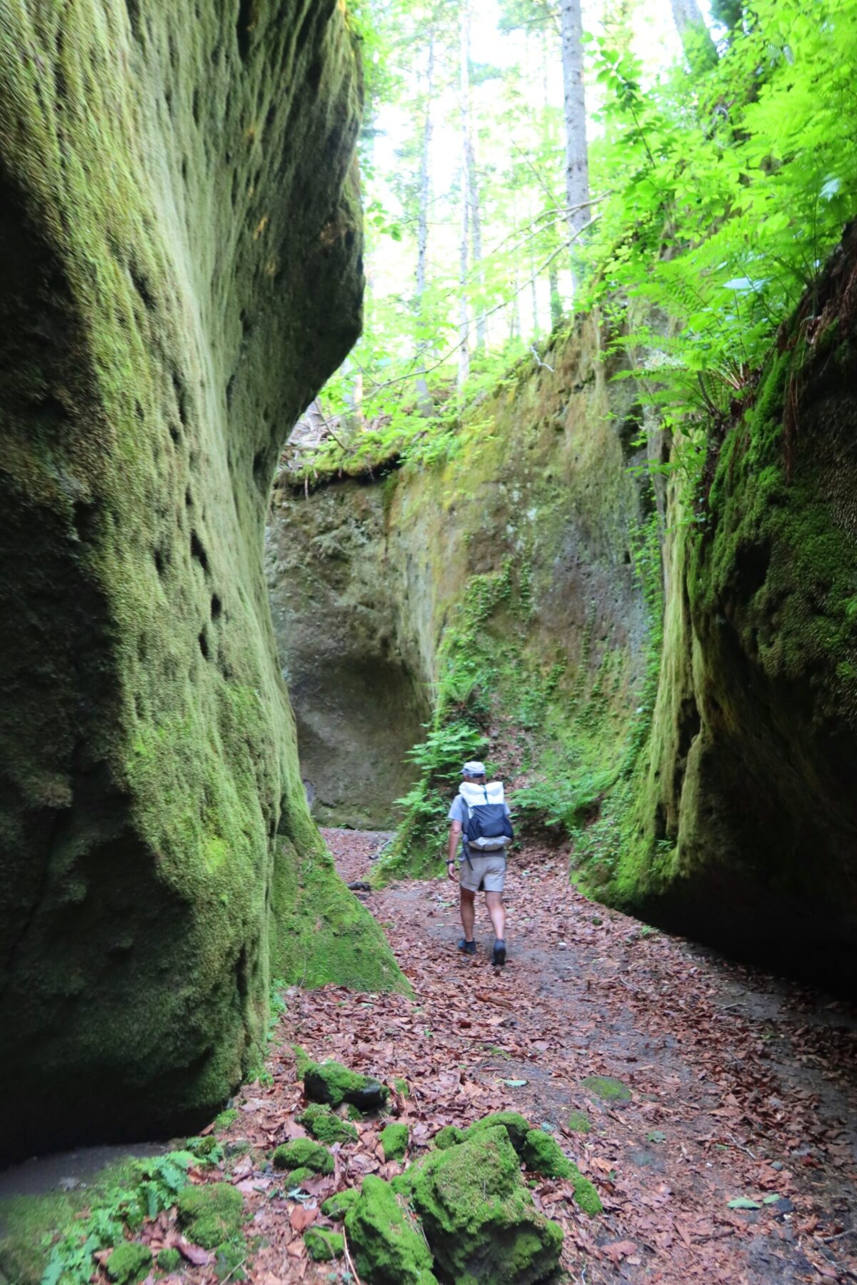 もっとも深い場所では、岩壁の高さが10mくらいになる。人の大きさと比べれば、そのスケールがわかるだろう