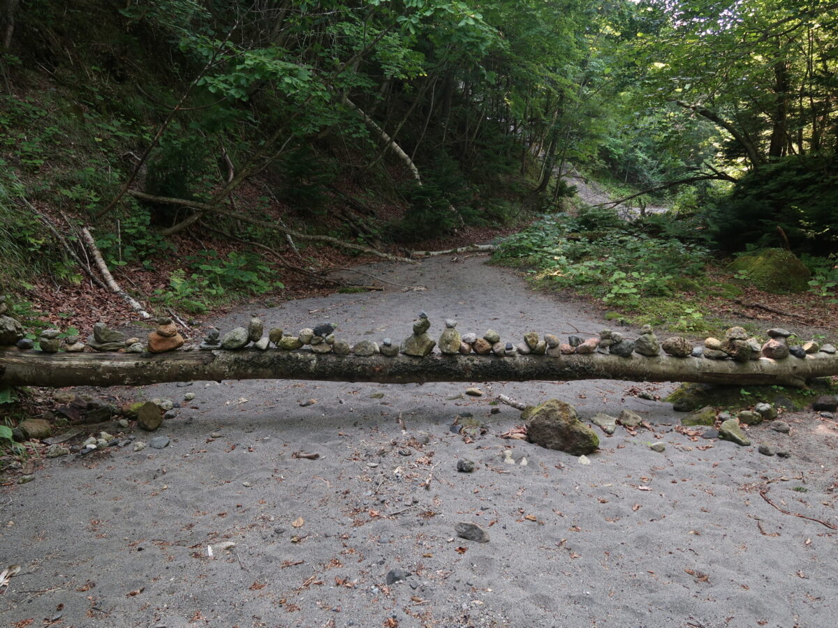 再び広くなってきた火砕流が流れた跡。倒木の上に置かれた大小の石が、ここを通る登山者の多さを物語っている