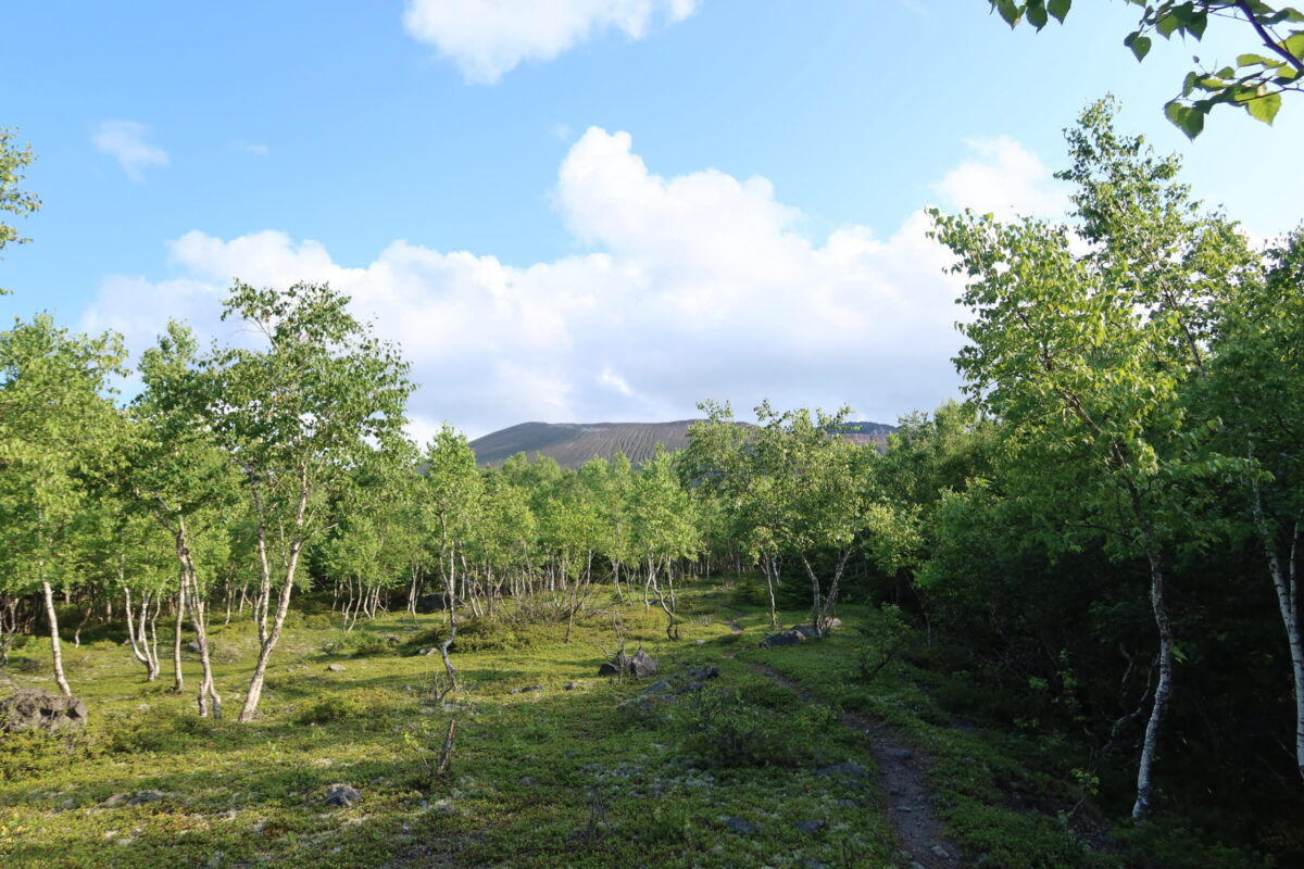 溶岩でできている地面には背の高い木が少なく、樹林帯といえども見晴しはいい。奥に見えるのが樽前山だ