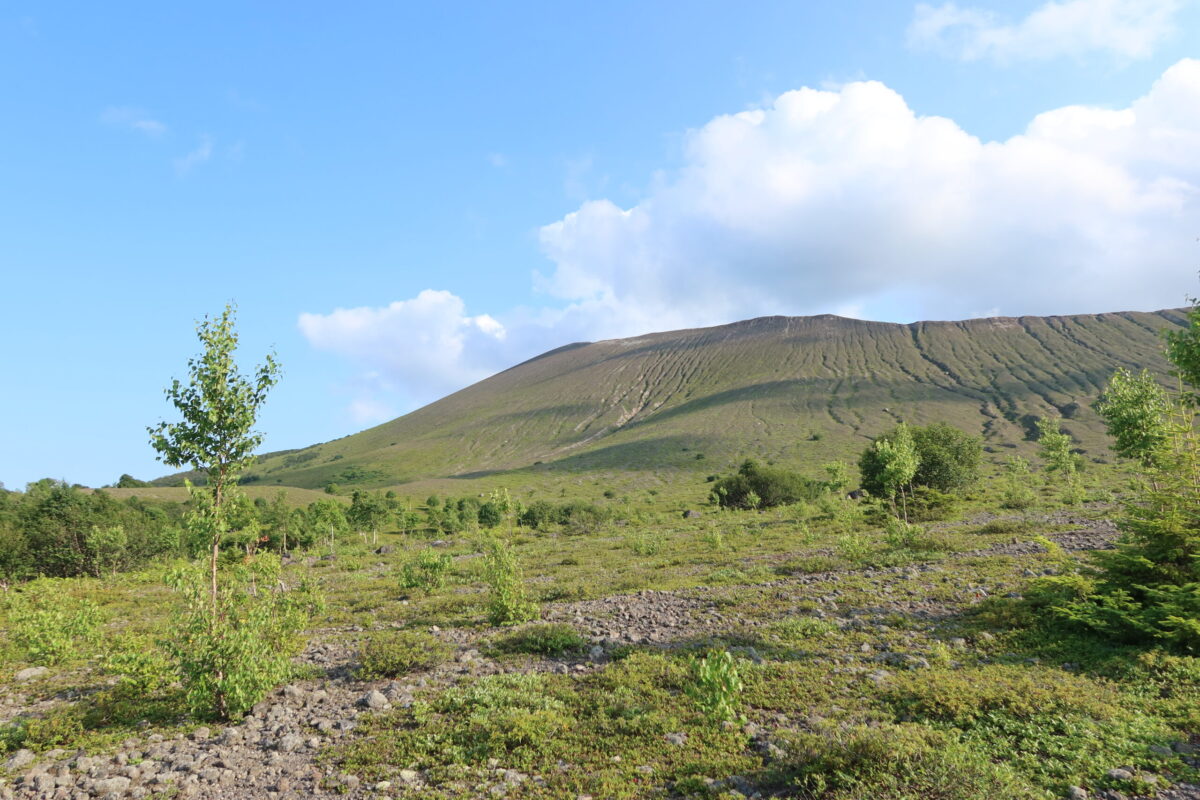 樹林帯が切れると、樽前山の外輪山が目に飛び込んでくる