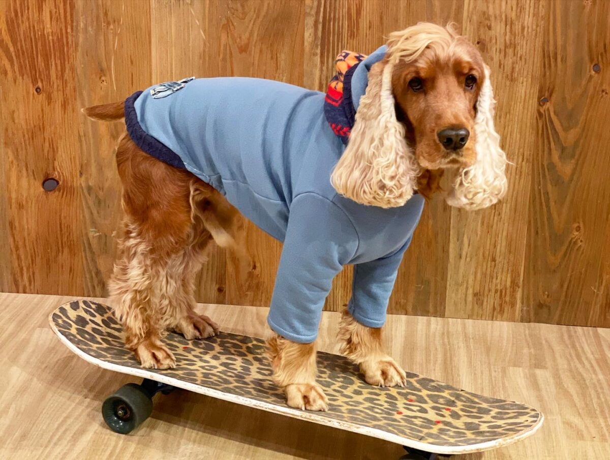 試行錯誤を重ねて、コーダ仕様にカスタムしたスケートボード。このボードの投入によりコーダの上達は一気に加速した