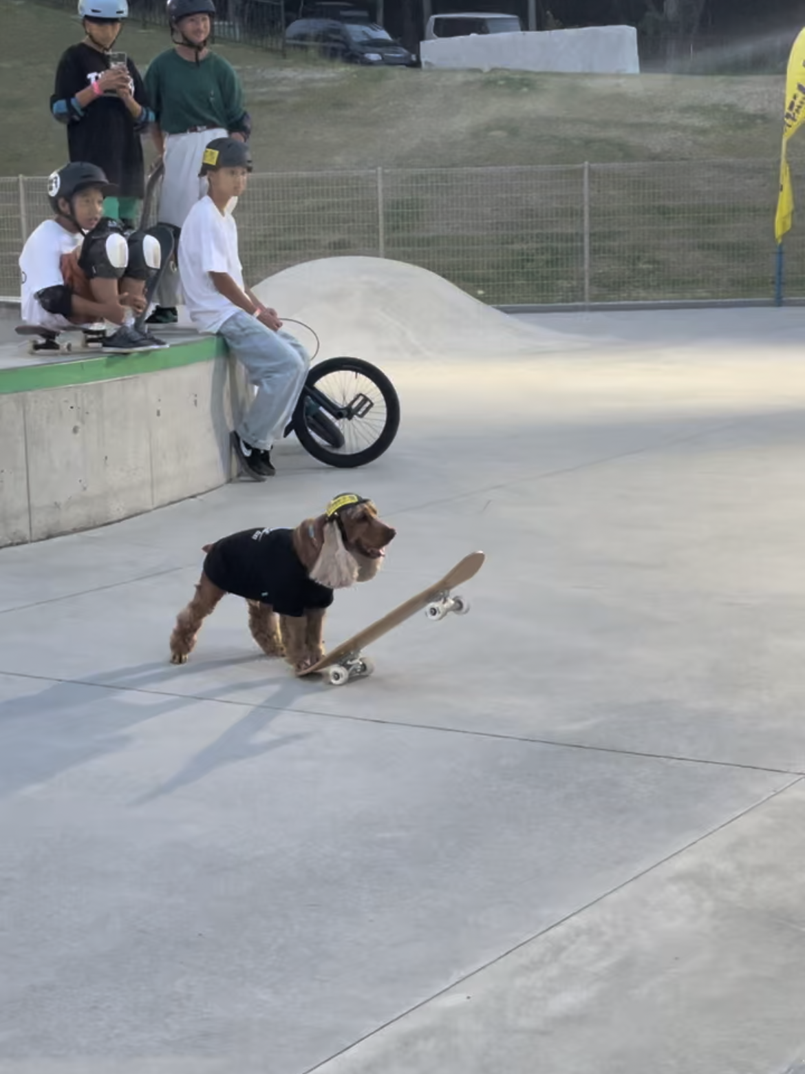 ボードのテールを踏んで構えた姿勢からスタート。茨城にあるムラサキパークかさまにて