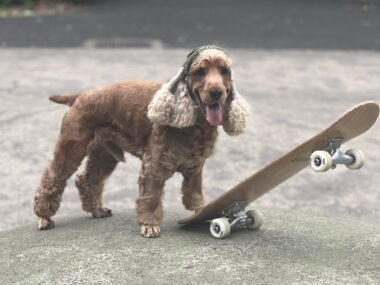 みんなが辞めるところで辞めないヤツが、夢を掴むんだよ【サーフィン犬 コーダが教えてくれたこと 第6回】