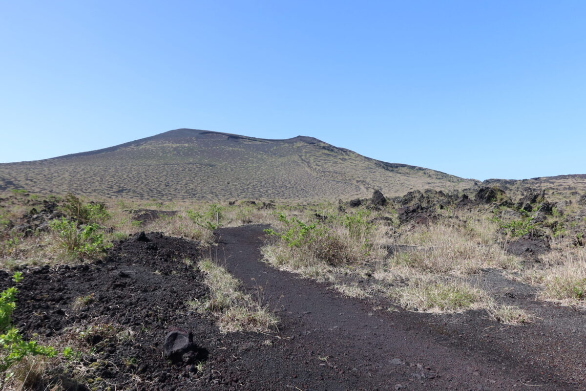 分岐近くから眺める三原山の外輪山。噴火口がある中央火口丘は、その後ろだ