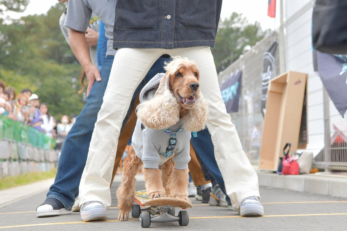 2023年秋に開催した第3回笠間ドッグマーケットの会場イベントで、ギネス挑戦の前哨戦として35人の”股くぐり”に挑戦