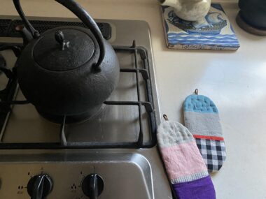 回復とは、傷を抱えながら以前と違う自分になってゆくこと【第13回 】梅の花が終わり、次第に空気がゆるむころ