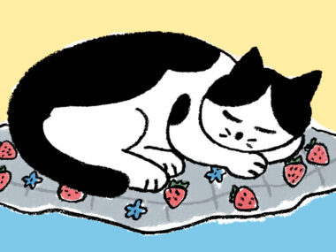 フェイラーのタオルハンカチ