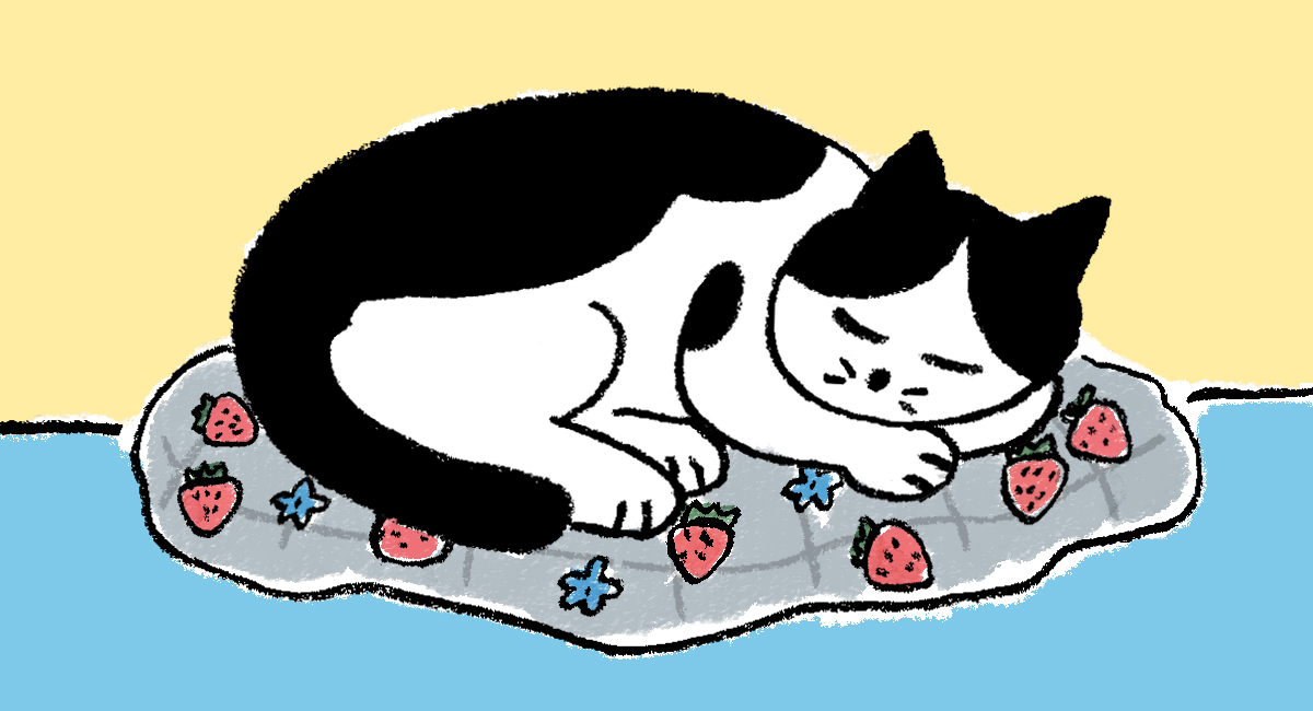 イラスト／ヨツモトユキ