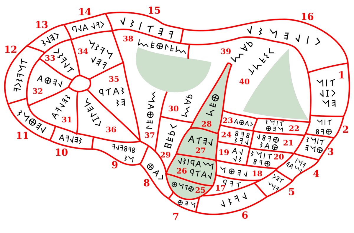 「Piacenza liver diagram」 by Dbachmann（https://commons.wikimedia.org/wiki/File:Piacenza_liver_  diagram.svg）