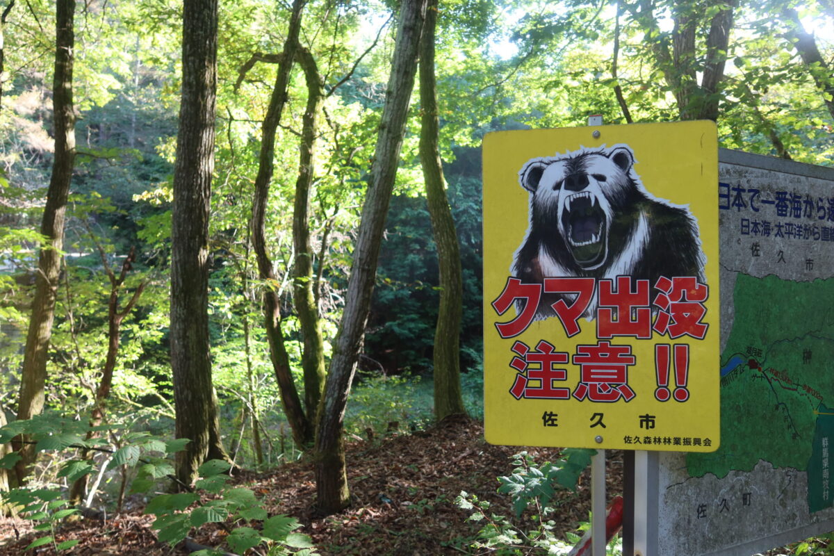 佐久市による「クマ出没注意!!」の看板。クマ撃退スプレーやホイッスルなどを持参したほうがよいだろう