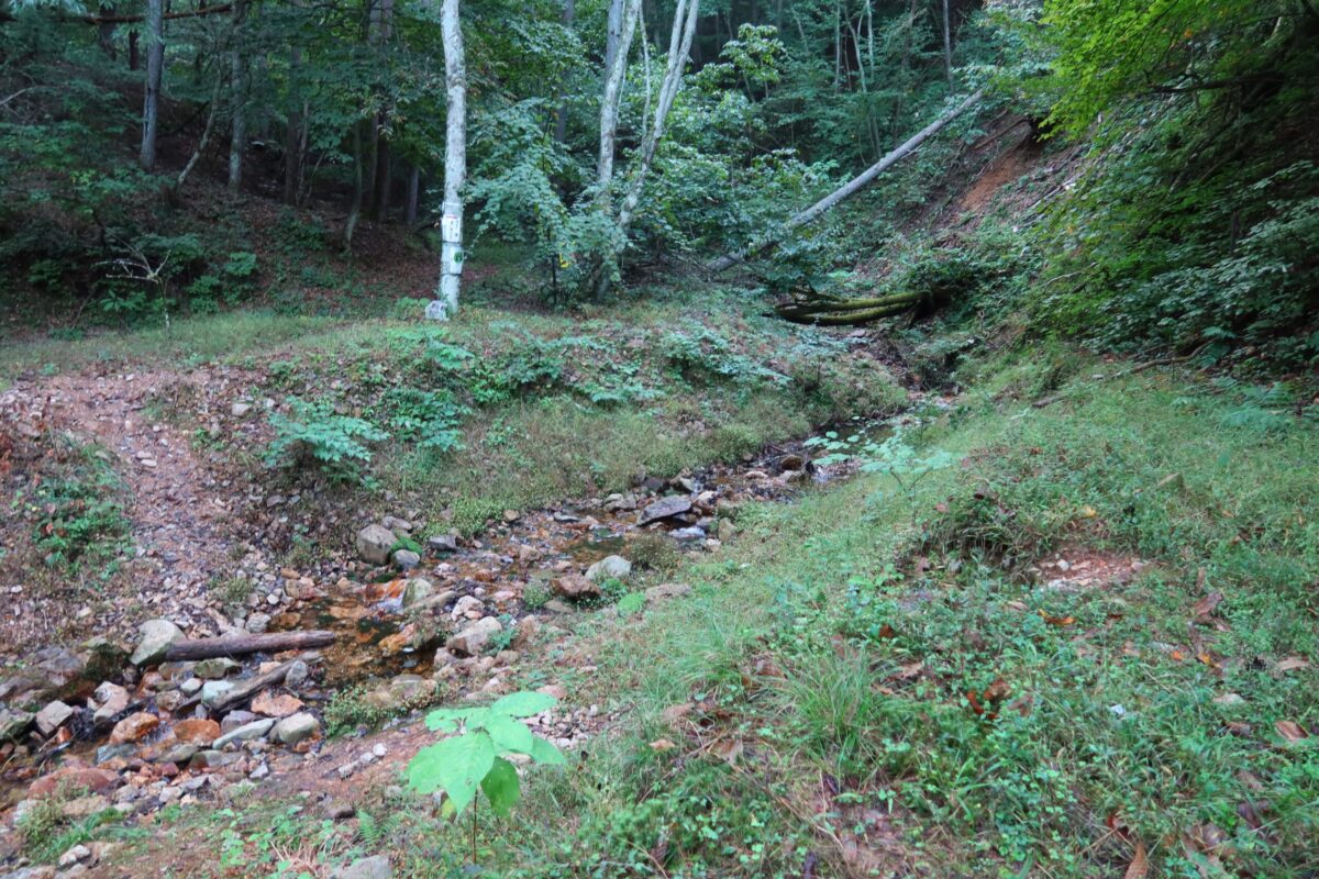 水量が乏しい沢を渡り、山中へ。踏み跡のような登山道を歩いていく