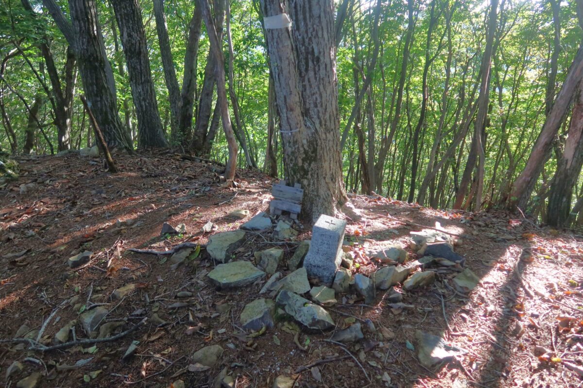 榊山の山頂。「日本で海岸線から一番遠い地点」からは往復30~40分だ